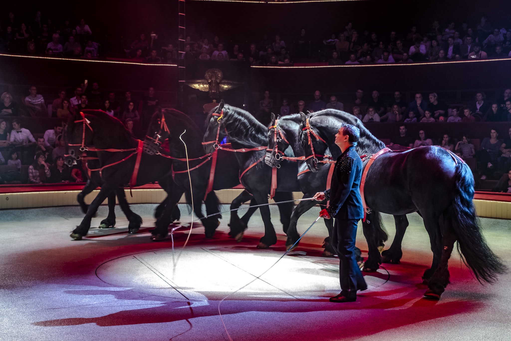 Extra – au cirque d&rsquo;hiver