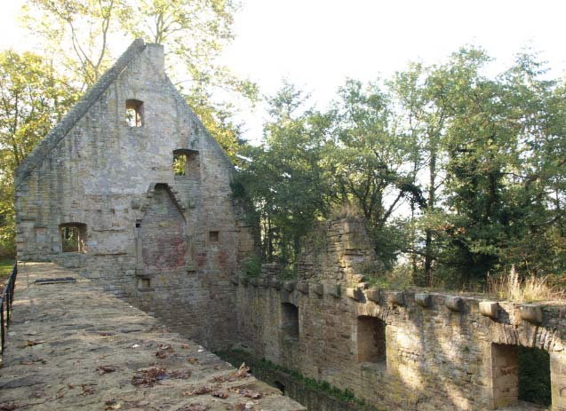 Lire Hildegarde – Livre IV – Disibod et Rupert